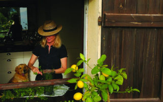 Le Dernier Mot: Autumn’s Delights, A Ramble