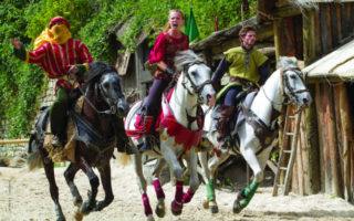 Medieval Magic in Provins