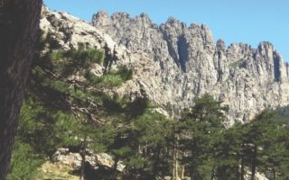Island of Wild Beauty: Nature, Wildlife, and Heritage in Corsica