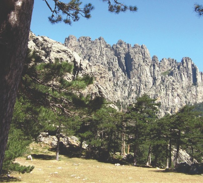 Island of Wild Beauty: Nature, Wildlife, and Heritage in Corsica