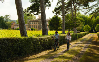 Where to Stay in Provence: Villa Baulieu
