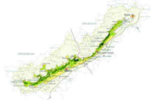 Did You Know? Climat vs Terroir in Burgundy