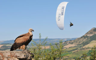 5 of the best: Marvels of Millau