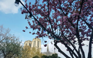 Notre-Dame Cathedral: What a Difference a Day Makes