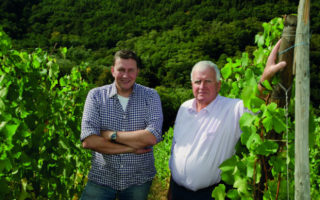 12 Iconic Wine Estates to Visit in Alsace