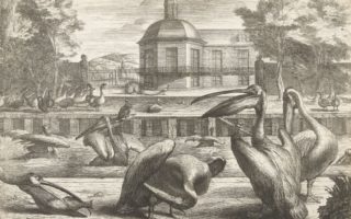 The King’s Menagerie: The Sun King’s Animal Kingdom at Versailles