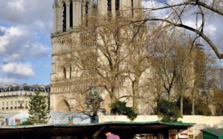 Parisian Walkways: The Bouquinistes of Paris