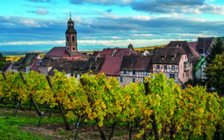 Great Wine Destinations: Alsace, Triumph over Adversity