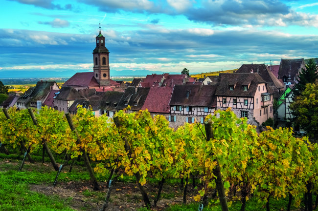 Great Wine Destinations: Alsace, Triumph over Adversity
