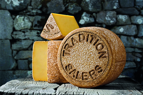 French Fromage: Top 3 Cheeses from Auvergne
