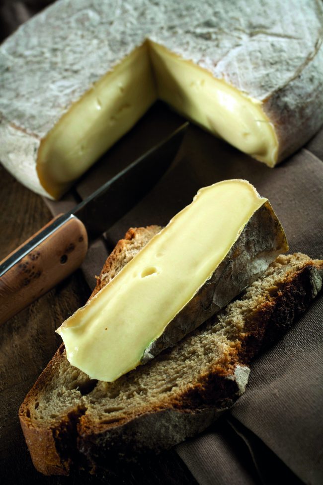 Cow Zenitude: Good Saint-Nectaire Cheese Comes from Happy Cows