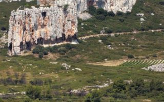 Pretty and Pink: A Rosé Made in Provençal Wine Country