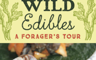 Interview with Author Jeffrey Greene of “Wild Edibles”