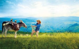 French Film Review: Antoinette Dans Les Cévennes