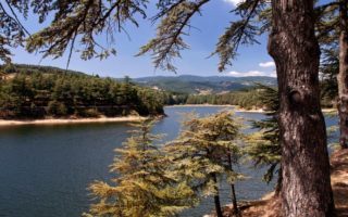 Peaugres Safari Park and a Lakeside Hotel in the Ardèche