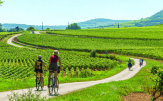 A Taste Trek in Burgundy: Walking & Cycling in French Wine Country