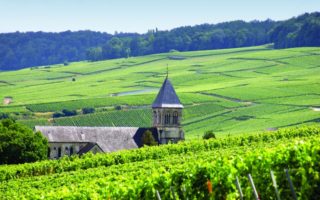 2 Days in Champagne