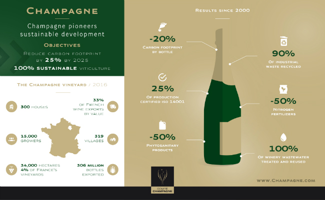 Earth Day in France: Champagne Focuses on Sustainable Winemaking