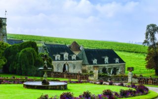 Château de Valmer, Tours: flora, fauna and wine