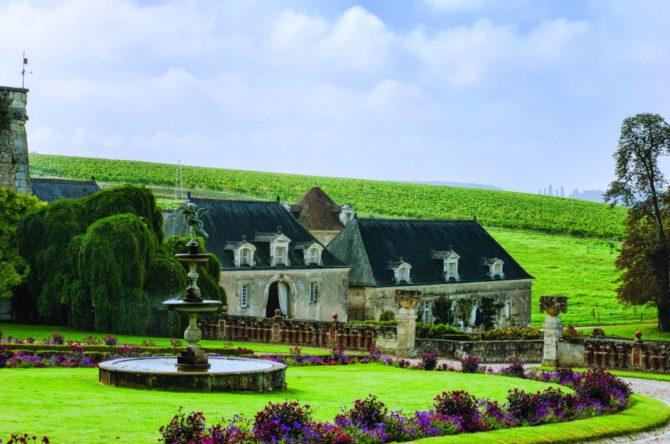 Château de Valmer, Tours: flora, fauna and wine