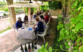 Thirst for Knowledge: Wine Immersion Experiences in France