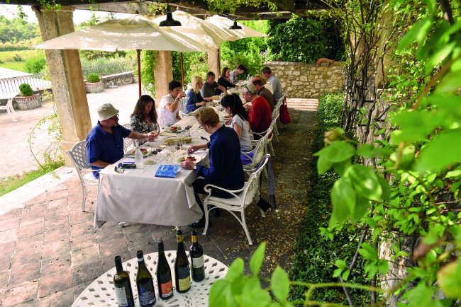 Thirst for Knowledge: Wine Immersion Experiences in France