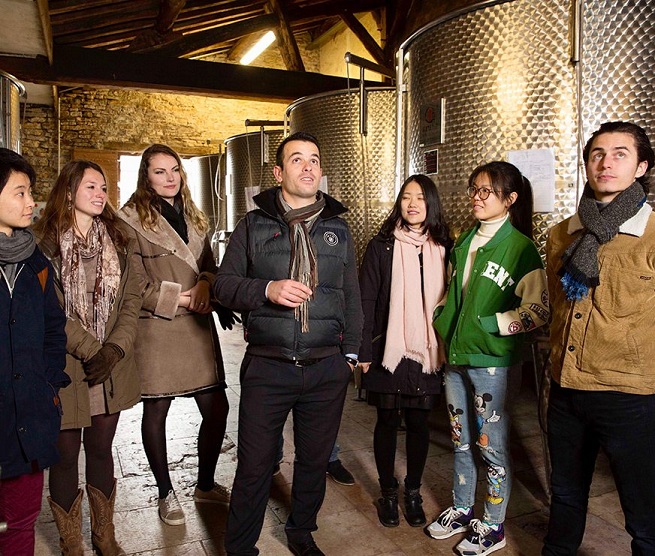 3 New Wine Courses at Château de Pommard in Burgundy