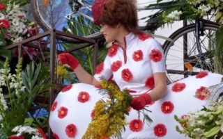 Carnaval de Nice 2017: Fabulous Costumes, Finale Fit for a King