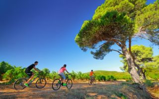 A Simple Guide to Hiring the Perfect Bike in France