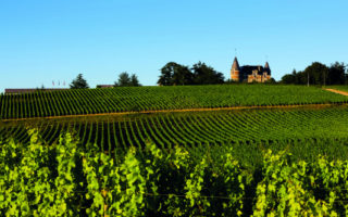 Great French Destinations: Raise a Glass to Gironde