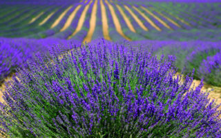 10 Reasons to Visit Montélimar, the “Gateway to Provence”
