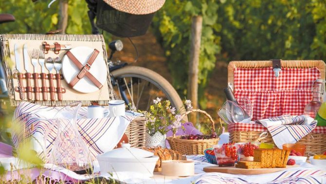 The 4 Best Picnic Spots in Burgundy