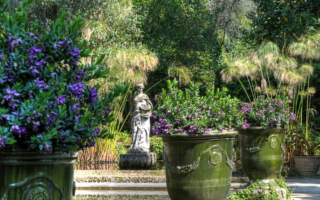 Exploring the Gardens of the Côte d’Azur France