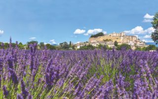 The Drôme: The Organic Heart of France