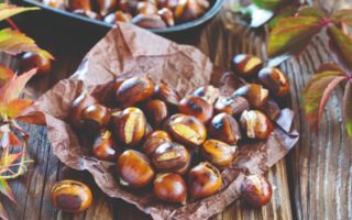 France’s Chestnut Mecca in Ardèche