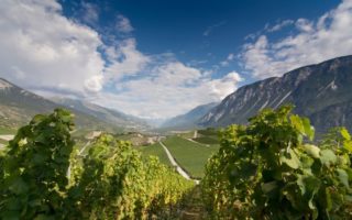 Le Mistral: The Wind of Provence