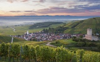 Discover The ‘Terroir’ of the Western Front 14-18