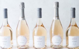 Provence Winemakers’ Plea after Devastating Wildfires