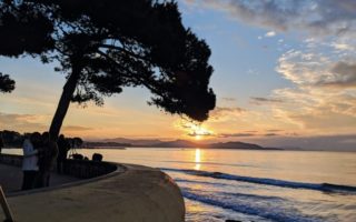 Le Dernier Mot: On the Trail of the Wholesome Pine