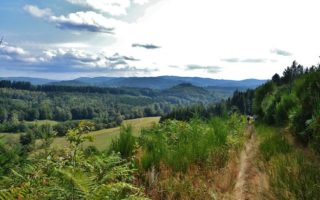 10 Reasons to visit the Departement of Vienne