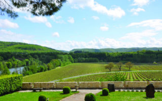 Francophile Favourites: Alison Judge of Vin & Company Wine Tours