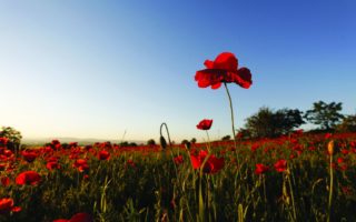 Remembrance Tourism in Northern France