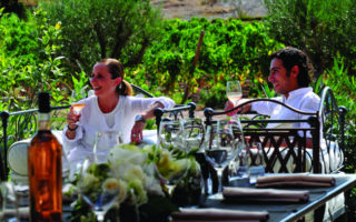 Taste the Terroir: Following the Provence Wine Route