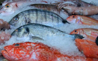 10 Fish You Must Try When in France
