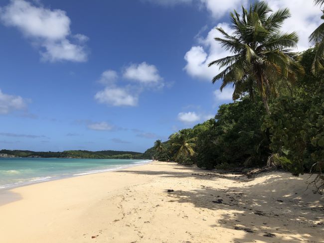 Folle Anse is a wild beach on the west of Marie-Galante island in Guadeloupe.