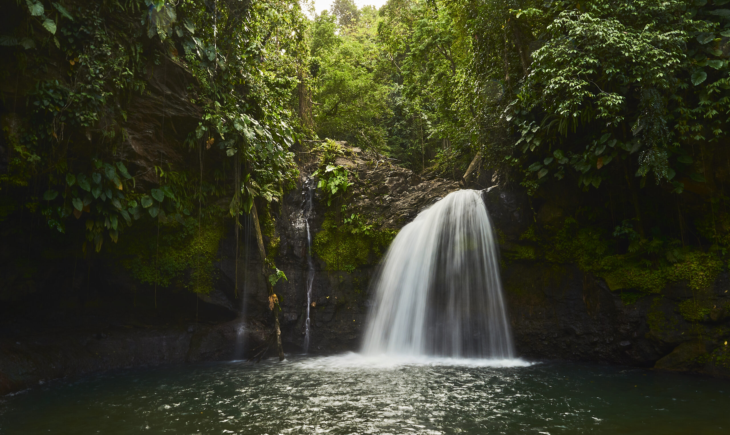 Waterfall in the middle of the jungle Guadeloupe along the river Lézarde Basse-Terre.