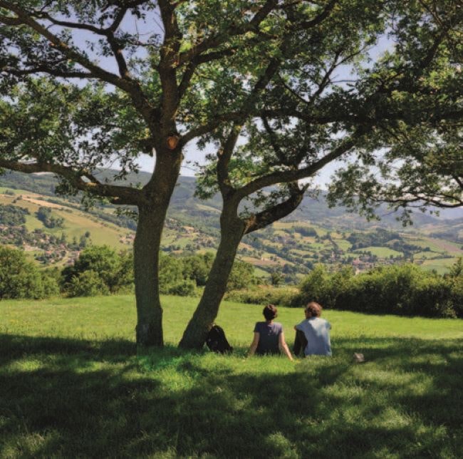 A couple sitting on the grass underneath a tree - Balades Gourmandes