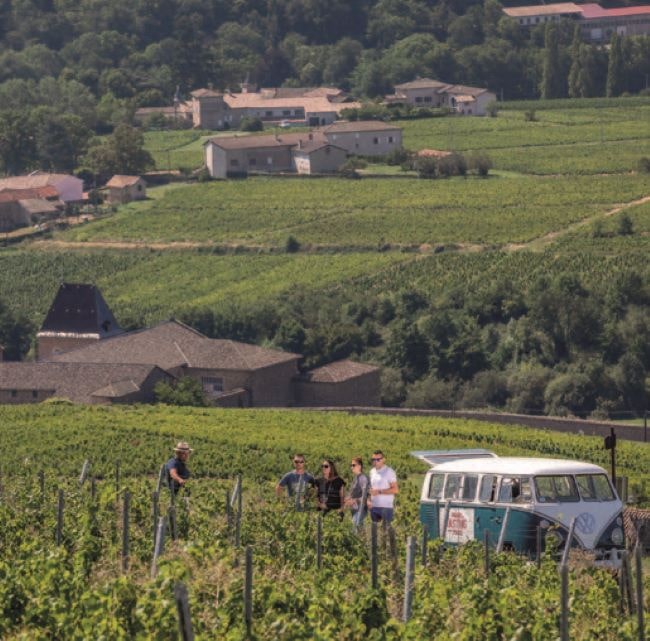 A tour of people in front of 1964 vintage Volkswagen in a vineyard
