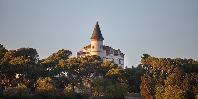 Discover Château Capitoul: Wine Estate in Languedoc