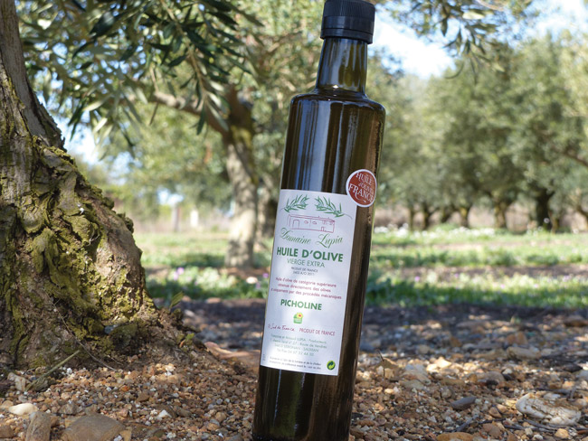 A bottle of Picholine extra virgin olive oil